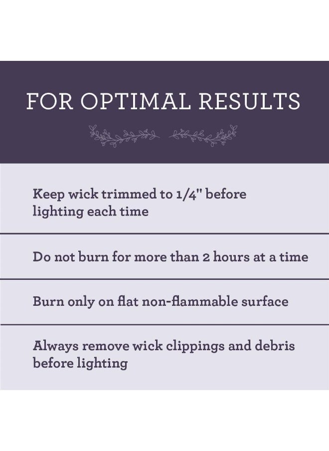 Our Own Candle Company Soy Wax Aromatherapy Candle, Simply Lavender, 6.5 Ounce