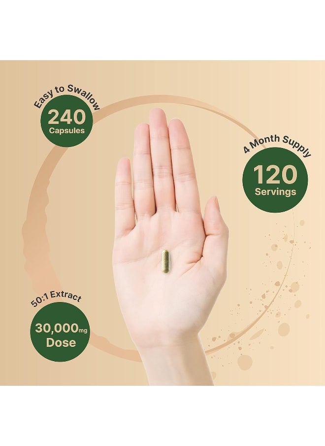 Olive Leaf Extract 30000mg, 240 Capsules | 40% Active Oleuropein, 50:1 Herbal Equivalent – Rich in Polyphenol & Flavonoid Antioxidants for Immune & Heart Health – Non-GMO