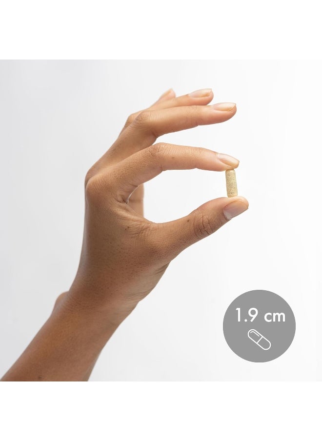 Dr. Mercola L-Theanine Plus GABA, 60 Capsules, Non-GMO, Gluten Free, Soy Free