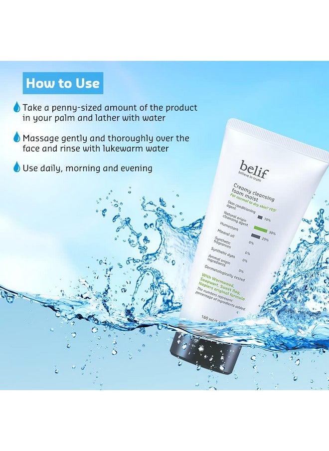 Belif Creamy Cleansing Foam 160ml