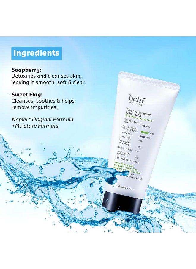 Belif Creamy Cleansing Foam 160ml