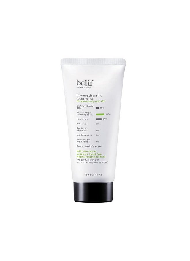 Belif Creamy Cleansing Foam 160ml