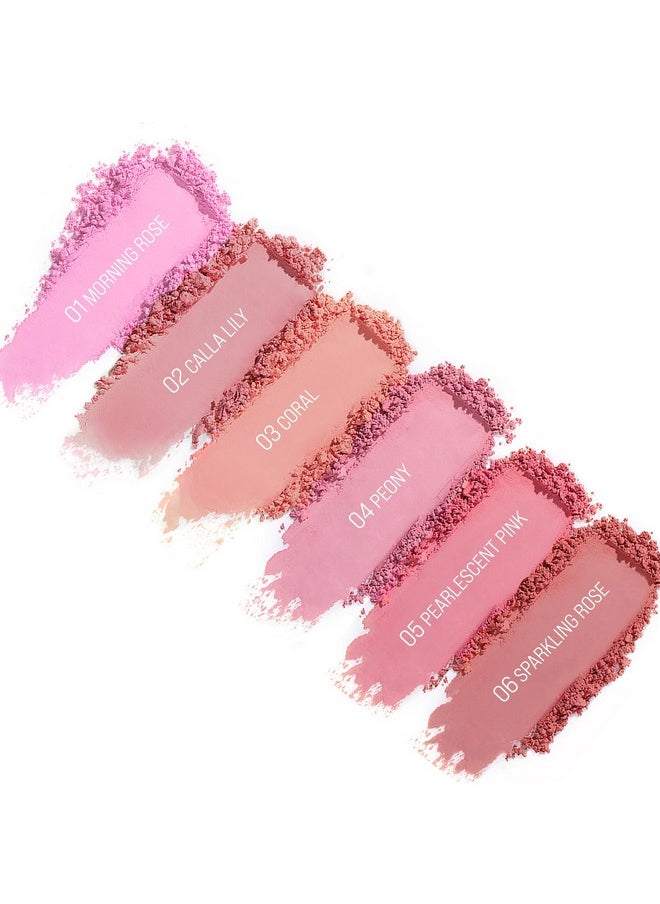 TINTARK Cheeky Blush Compact for Face Cheeks, Talc Free Blusher Palette, Matte Powder Makeup, Natural Healthy, Mauve Pink Magenta Peach Red, Vegan Cruelty Free
