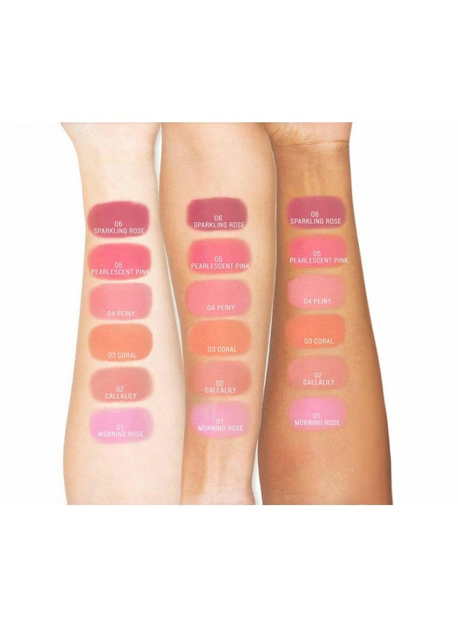 TINTARK Cheeky Blush Compact for Face Cheeks, Talc Free Blusher Palette, Matte Powder Makeup, Natural Healthy, Mauve Pink Magenta Peach Red, Vegan Cruelty Free