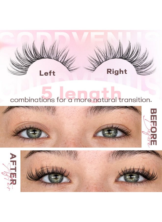 Lash Clusters Kit Wispy Eyelash Clusters Lashes Natural DIY Lash Extension Kit 10-16mm Cluster Eyelash Extensions Kit 300pcs C Curl Individual Lashes Cluster Eyelashes for Eyelash Extension Goddvenus