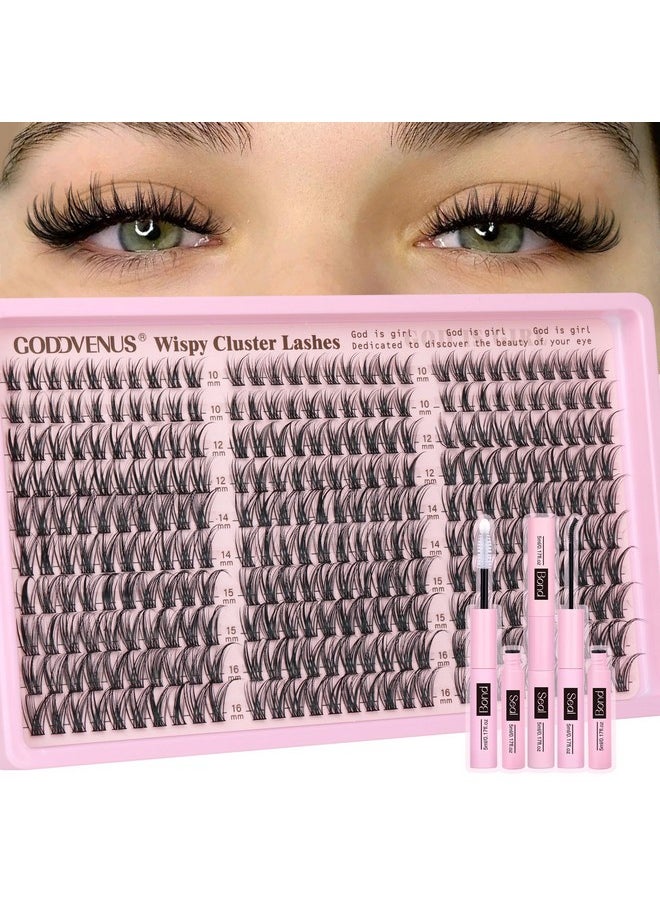 Lash Clusters Kit Wispy Eyelash Clusters Lashes Natural DIY Lash Extension Kit 10-16mm Cluster Eyelash Extensions Kit 300pcs C Curl Individual Lashes Cluster Eyelashes for Eyelash Extension Goddvenus