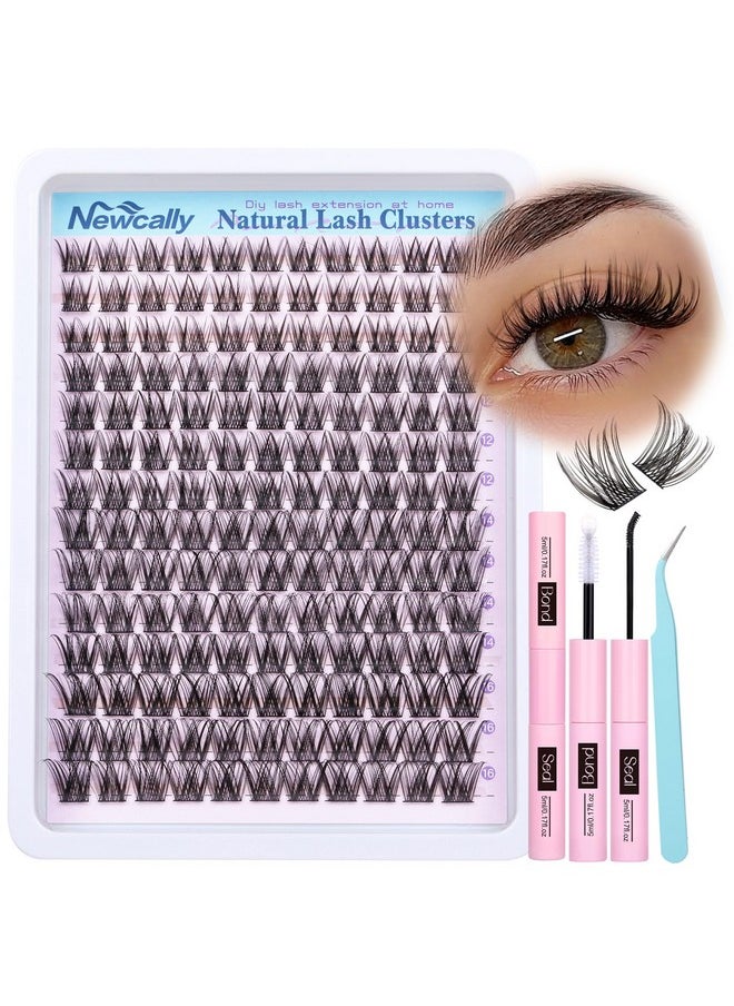 Lash Clusters Kit Wispy Natural Cluster Eyelash Extension Kit DIY Lash Extension Kit C Curl 10-16MM Eyelash Clusters Volume Individual Lashes Kit by Newcally