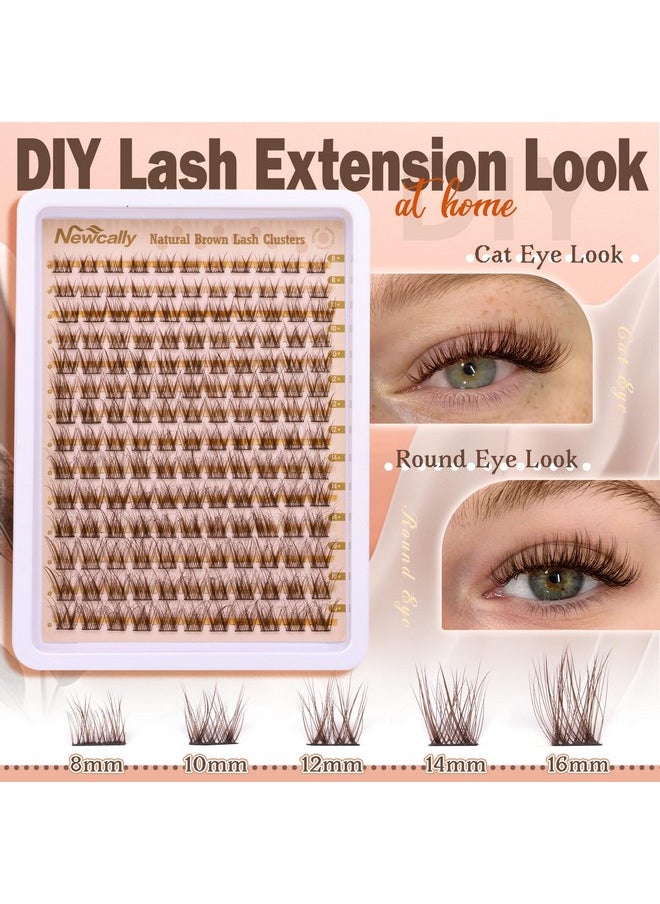 Brown Lash Clusters Natural Wispy Eyelash Clusters DIY Lash Extension C Curl Brown Eyelash Cluster Individuals Faux Mink Lashes Eyelash Extension by Newcally