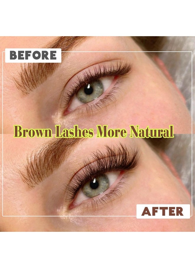 ALICE Brown Lashes False Lashes Natural Look Eyelashes Cat Eye Faux Mink Lashes with Clear Band Wispy Fake Eyelashes Lash Strips 8 Pairs