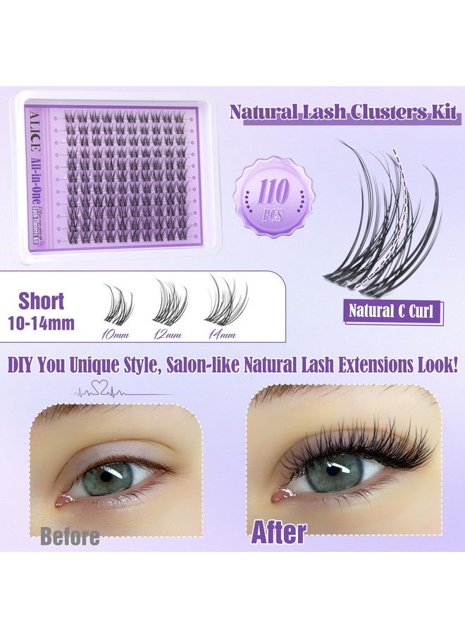 ALICE Natural Lash Extensions Kit Invisible Band Lash Clusters Kit Wispy10-14mm Eyelash Extensions C Curl Individual Cluster Lashes Kit with Lash Remover DIY at Home