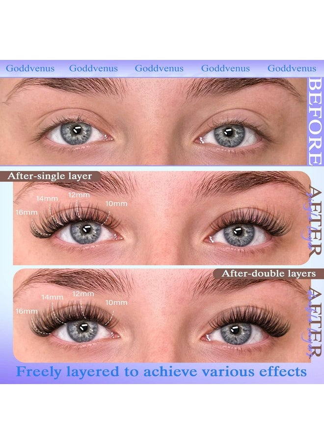 Goddvenus Wispy Lash Clusters 10-16mm Lashes Clusters Eyelash Extensions Natural Individual Lashes 144pcs D Curl Lash Extension DIY Soft Comfortable Eyelash Clusters with Cotton Band