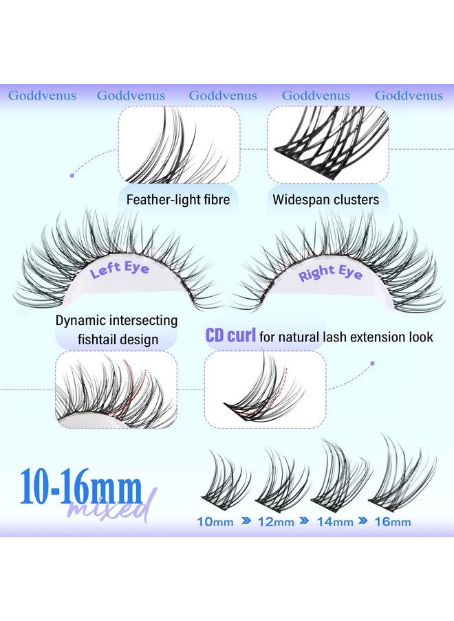 Goddvenus Wispy Lash Clusters 10-16mm Lashes Clusters Eyelash Extensions Natural Individual Lashes 144pcs D Curl Lash Extension DIY Soft Comfortable Eyelash Clusters with Cotton Band