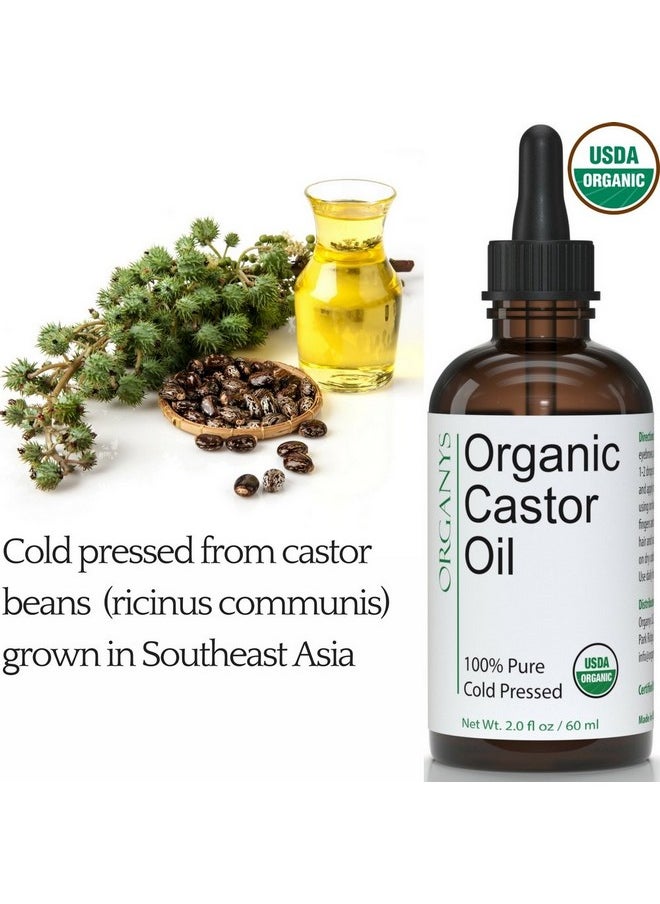 Organys Organic Castor Oil 2oz, For Longer Fuller Thicker Looking Hair Eyelashes & Eyebrows Enhances The Appearance Of Natural Lash & Brow Growth. Serum Comes With Eyeliner & Mascara Brushes