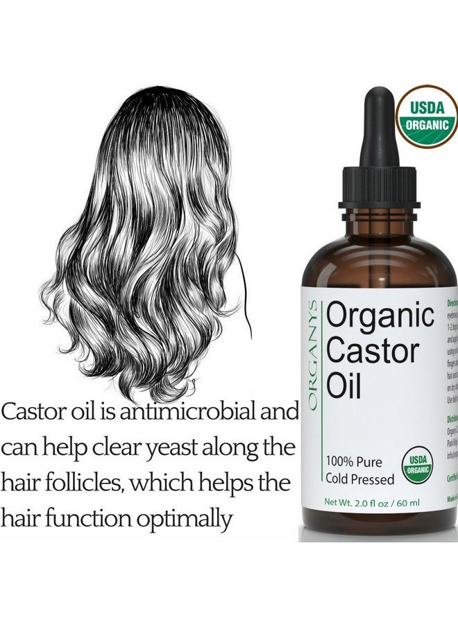 Organys Organic Castor Oil 2oz, For Longer Fuller Thicker Looking Hair Eyelashes & Eyebrows Enhances The Appearance Of Natural Lash & Brow Growth. Serum Comes With Eyeliner & Mascara Brushes