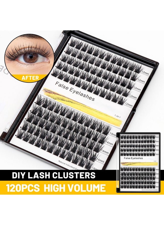 Bodermincer 120 Clusters 10mm+12mm/12mm+14mm/14mm+16mm Mixed Wide Cluster False Eyelash Individual Cluster EyeLashes Grafting Fake False Eyelashes Eyelash Extension (Black 12mm+14mm Mixed)