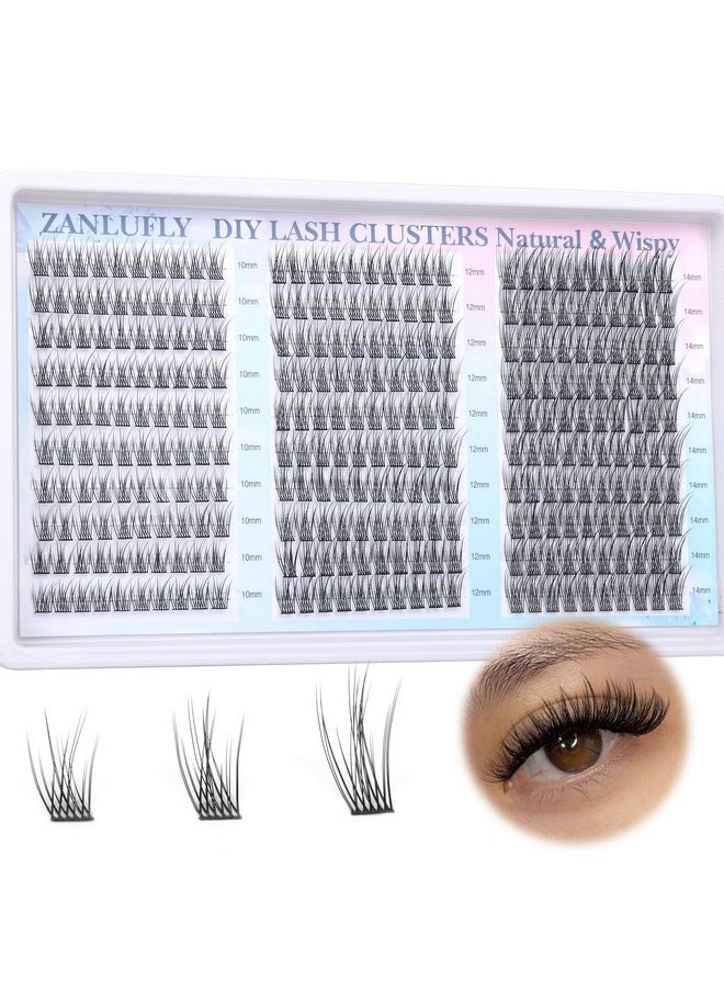 Lash Clusters Wispy Eyelash Clusters C Curl Individual Lashes zanlufly Natural 300Pcs Cluster Lashes Eyelash Extension 10 12 14MM DIY Lash Extension