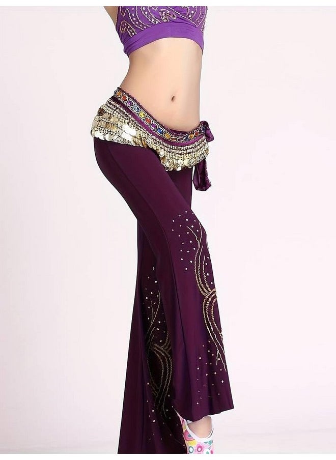 FancyDressWale Belly Dance Hip Scarf Waist Belt with Gold Coins for Women and Girls (Purple Premium)