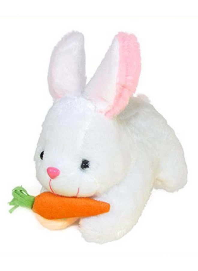 Besties Ball Soft Toy Stuffed Plush Ball Kids Birthday Gift 25cm (1234)&Besties Carrot Rabbit 26cm Stuffed Soft Toy Plush for Kids Baby Boy Girl Birthday (54cm) (Ball + Carrot Rabbit)