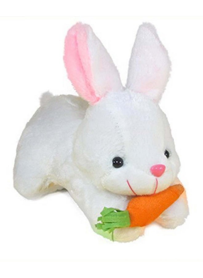 Besties Ball Soft Toy Stuffed Plush Ball Kids Birthday Gift 25cm (1234)&Besties Carrot Rabbit 26cm Stuffed Soft Toy Plush for Kids Baby Boy Girl Birthday (54cm) (Ball + Carrot Rabbit)