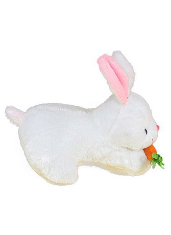 Besties Ball Soft Toy Stuffed Plush Ball Kids Birthday Gift 25cm (1234)&Besties Carrot Rabbit 26cm Stuffed Soft Toy Plush for Kids Baby Boy Girl Birthday (54cm) (Ball + Carrot Rabbit)