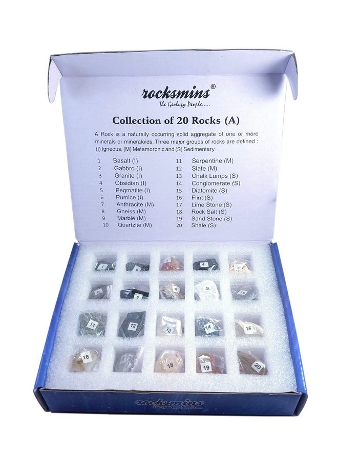 rocksmins Ro20Pt Rocks Collection Set Of 20 For Students Of School Education Igneous Sedimentary Metamorphic Samples Collections Introductory Activity Geology Earth Science Volcanic Stones
