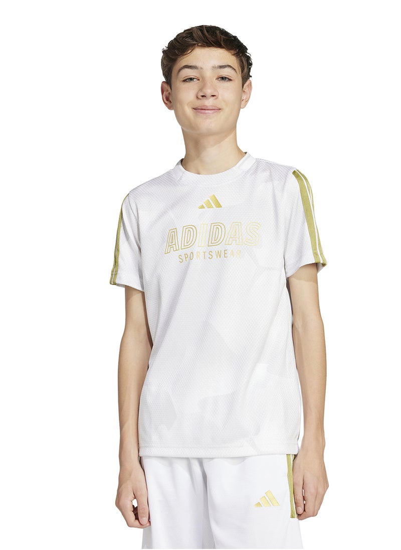 Youth House Of Tiro Colors Of Football T-Shirt