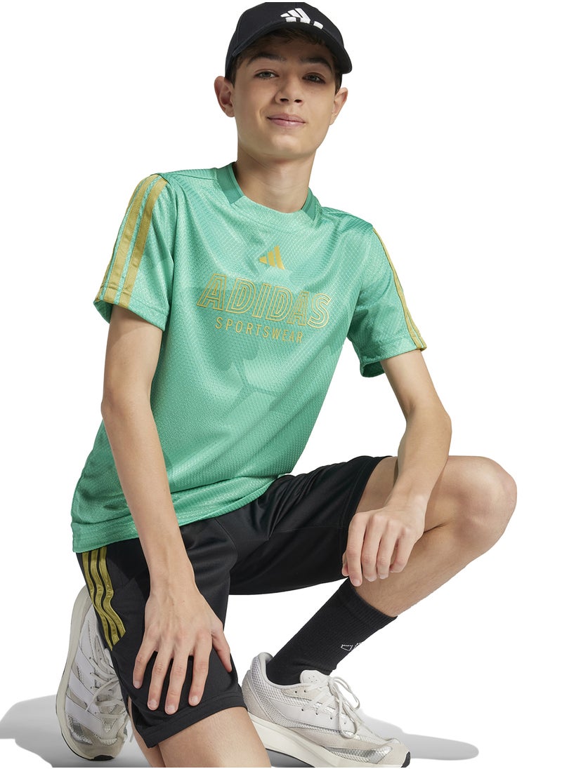 Youth House Of Tiro Colors Of Football T-Shirt