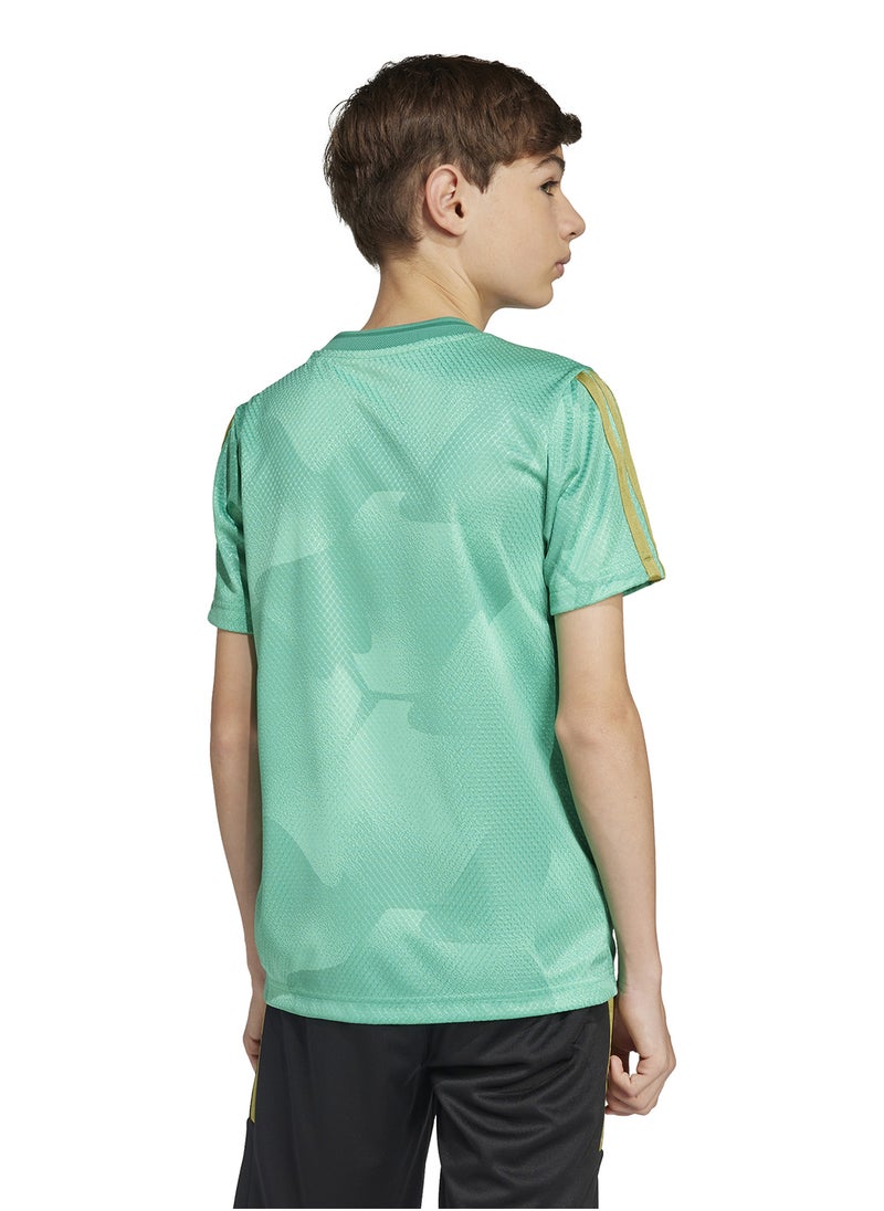 Youth House Of Tiro Colors Of Football T-Shirt