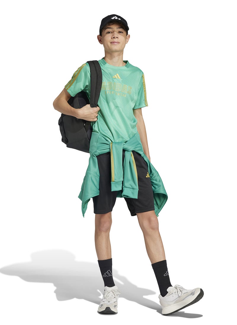 Youth House Of Tiro Colors Of Football T-Shirt