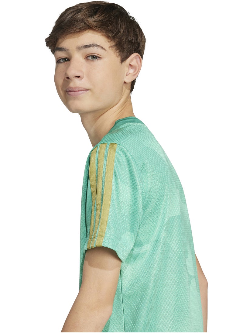 Youth House Of Tiro Colors Of Football T-Shirt