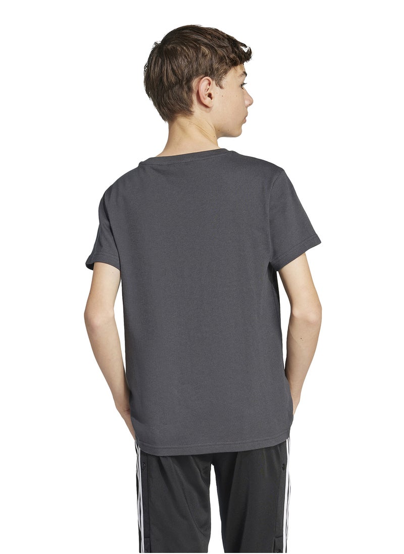 Kids Minecraft Graphic T-Shirt