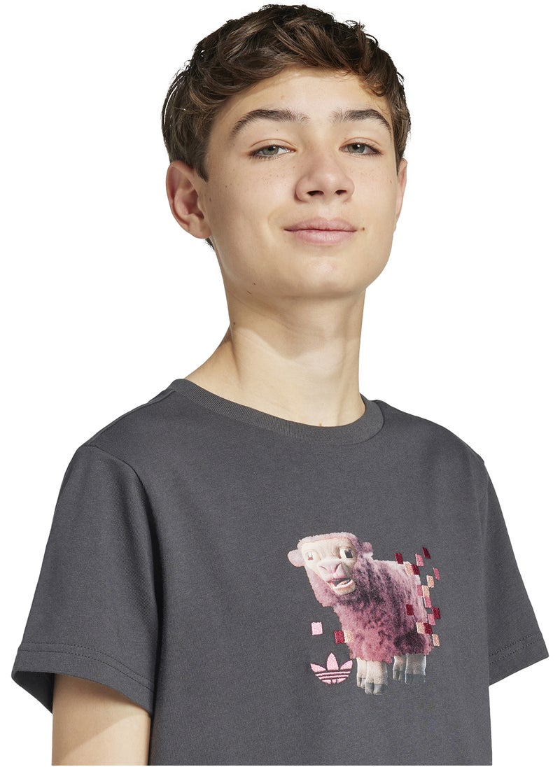 Kids Minecraft Graphic T-Shirt