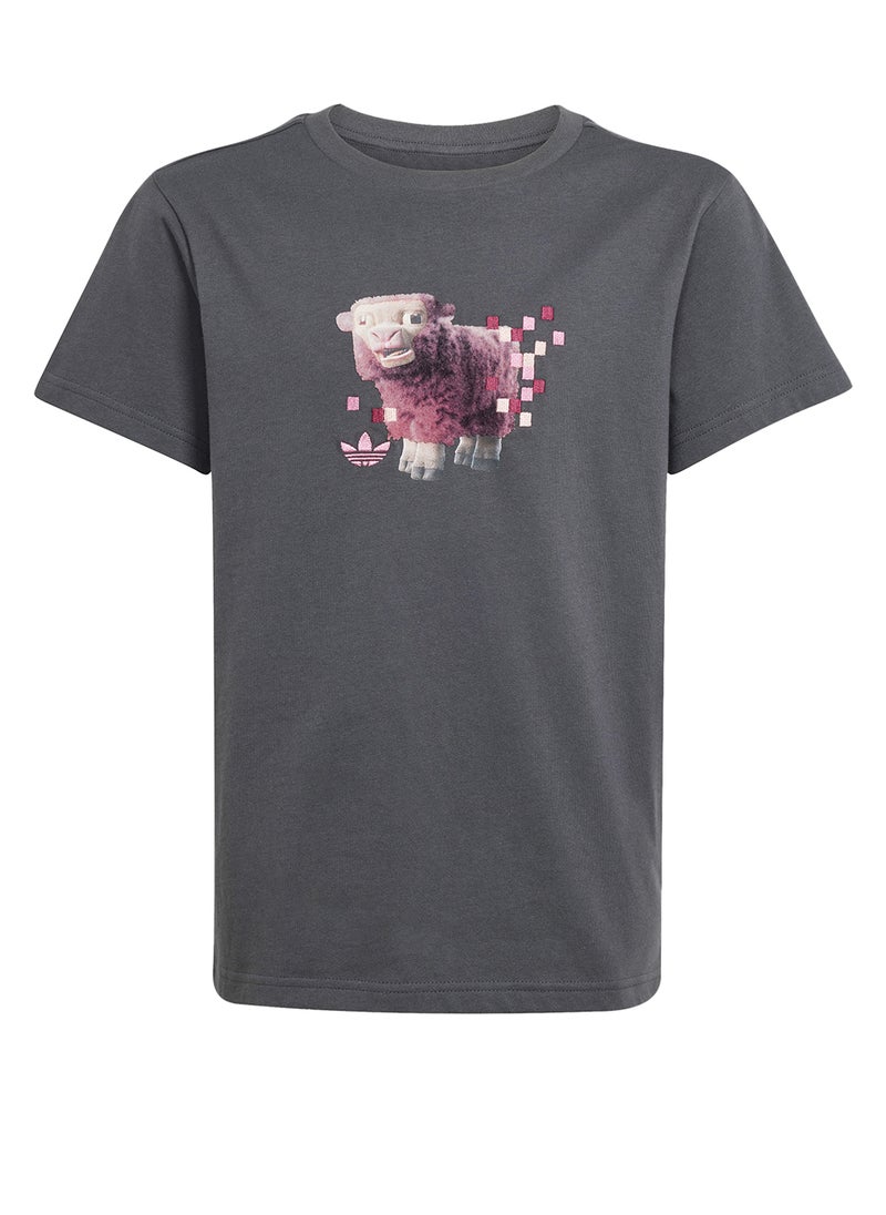 Kids Minecraft Graphic T-Shirt