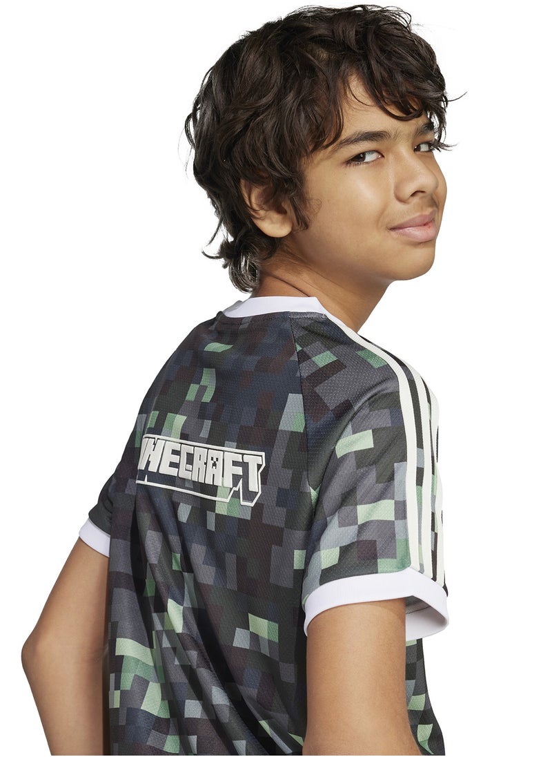 Kids Minecraft Graphic T-Shirt