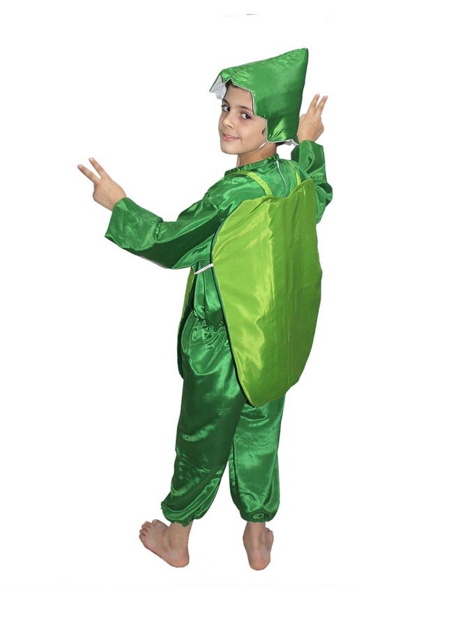 Kaku Fancy Dresses Polyester Capsicum Vegetables Costume -Green, 3-4 Years, for Boys & Girls