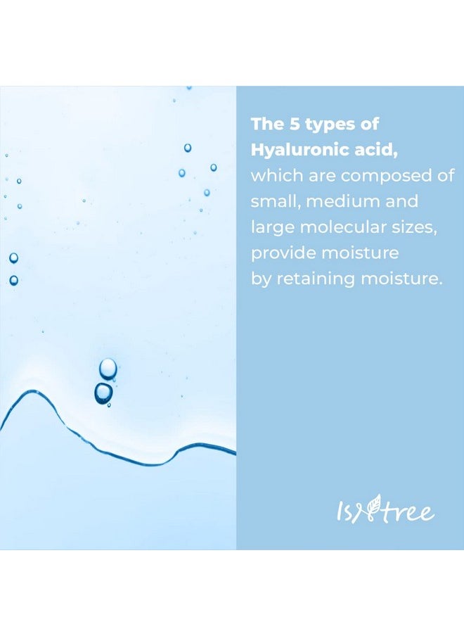 ISNTREE Hyaluronic Acid Toner Plus 200ml, 6.76 fl.oz | Deep Moisture for Dry Skin | Fully Hydrates & Locks in Moisture | Ampoule-Like Texture | Korean Skincare