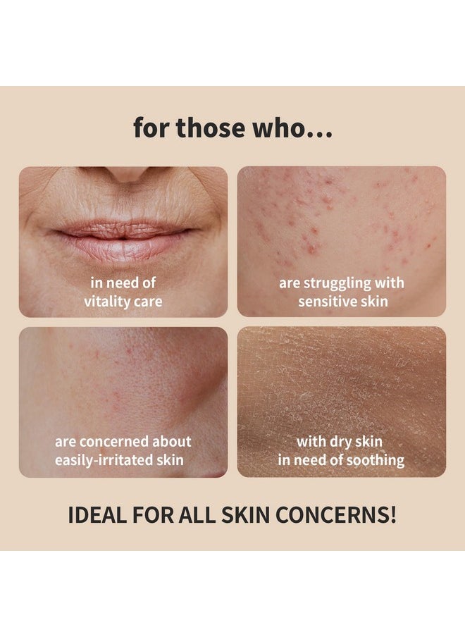 BENTON Snail Bee High Content Skin (Toner) - Snail Mucin Toner, Snail Mucin Essence Toner, Bee Venom Korean Toner, Korean Skin Care Snail Toner, Face Skin Care Snail Essence, Snail Mucin Moisturizer