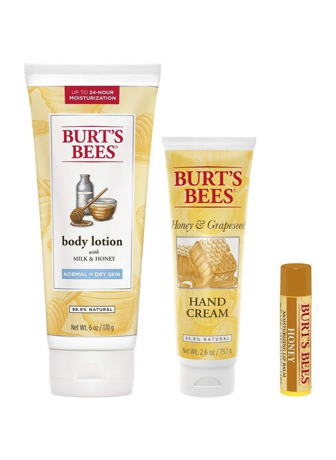 Burt's Bees Honey Pot Holiday Gift Set, 3 Honey Skin Care Products - Milk & Honey Body Lotion, Honey & Grapeseed Hand Cream and Honey Lip Balm