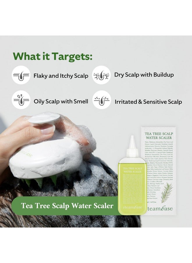 STEAMBASE Tea Tree Scalp Treatment | Purifies and Exfoliates Oily Scalp | Natural BHA & Tea Tree | Removes Odor & Buildup | Hypoallergenic Exfoliator, 8.42 fl oz