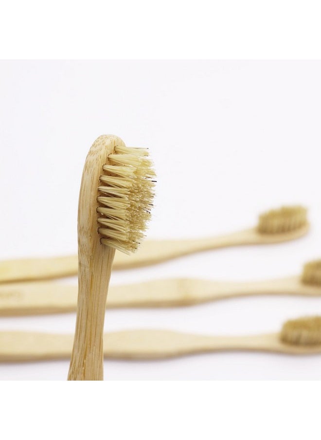 Gaia Guy Natural Bristle Bamboo Toothbrush with Boar Bristles - Totally Biodegradable and Compostable - No Nylon Toothbrushes - Zero Waste 12-Pack