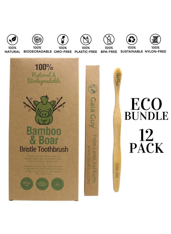 Gaia Guy Natural Bristle Bamboo Toothbrush with Boar Bristles - Totally Biodegradable and Compostable - No Nylon Toothbrushes - Zero Waste 12-Pack