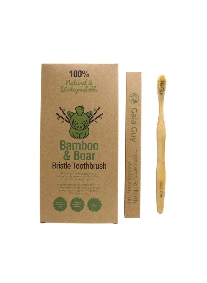 Gaia Guy Natural Bristle Bamboo Toothbrush with Boar Bristles - Totally Biodegradable and Compostable - No Nylon Toothbrushes - Zero Waste 12-Pack