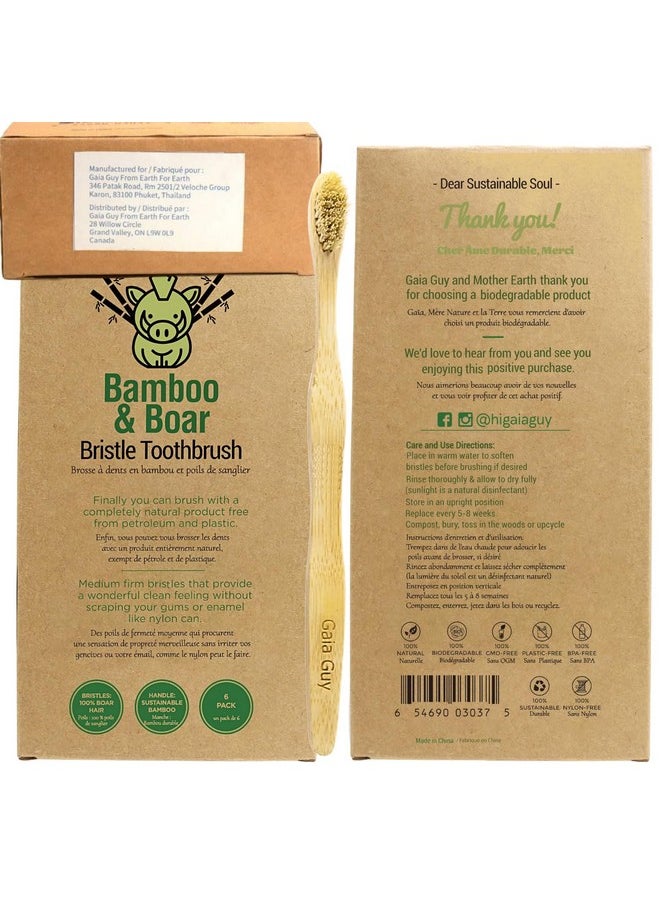 Gaia Guy Natural Bristle Bamboo Toothbrush with Boar Bristles - Totally Biodegradable and Compostable - No Nylon Toothbrushes - Zero Waste 12-Pack