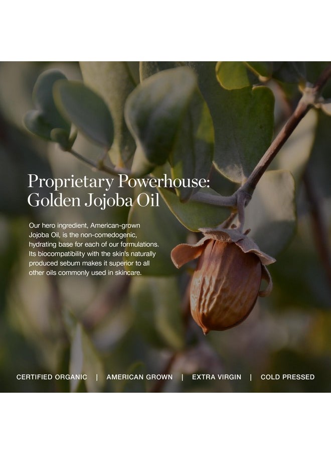 Ogee Complexion Perfecting Liquid Foundation - Lightweight Tinted Moisturizer For Face (Cedar 1.20C - Fair, Pink-Beige Undertones) - with Vitamin C & Jojoba Oil - Certified Organic & Made in USA