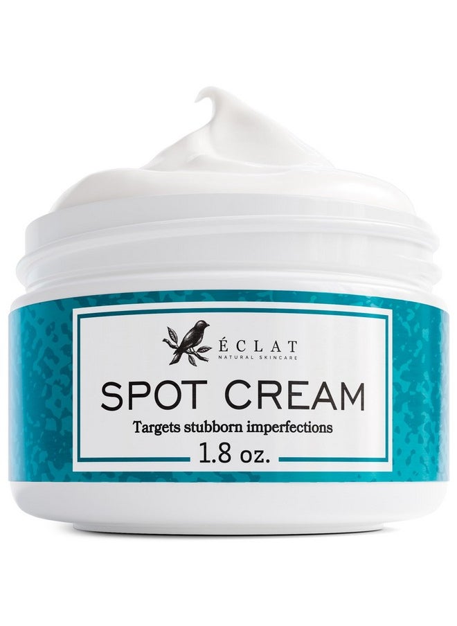 Eclat Skincare Spot Treatment for Face - Salicylic Acid Pimple Spot Treatment for Face - Spot Cream Pimple Cream Facial Blemish Spot Treatment - Cystic Hormonal Spot Treatment Face Moisturizer