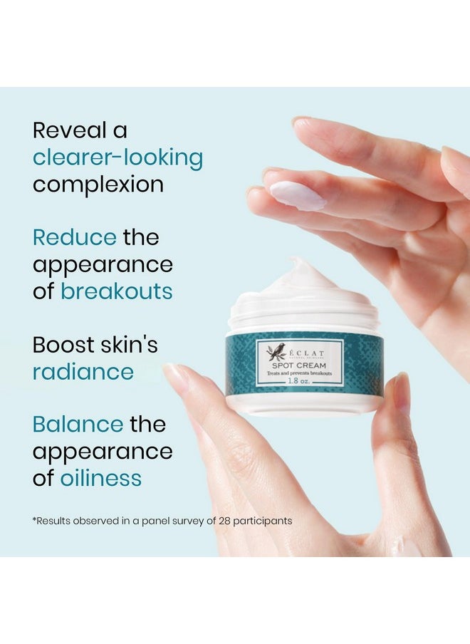 Eclat Skincare Spot Treatment for Face - Salicylic Acid Pimple Spot Treatment for Face - Spot Cream Pimple Cream Facial Blemish Spot Treatment - Cystic Hormonal Spot Treatment Face Moisturizer