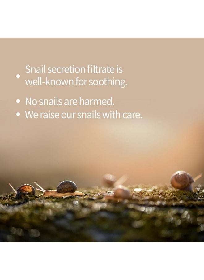 BENTON Snail Bee High Content Steam Cream - Snail Mucin Moisturizer with Bee Venom & Niacinamide | Korean Skin Care Products For Dry & Sensitive Skin | Hydrating Face For Women (1.76 oz.)