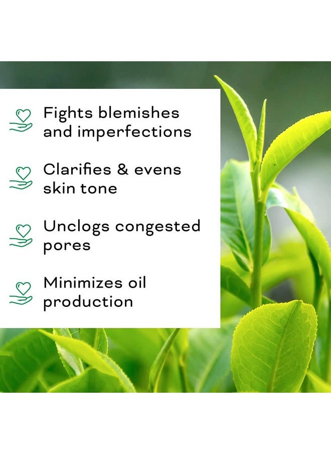 Beauty Foundry Clarifying Tea Tree Facial Oil, Targets Acne and Uneven Skin Tone, Antioxidant-Rich Beauty Oil, 1-fl oz/30ml (1 Pack)