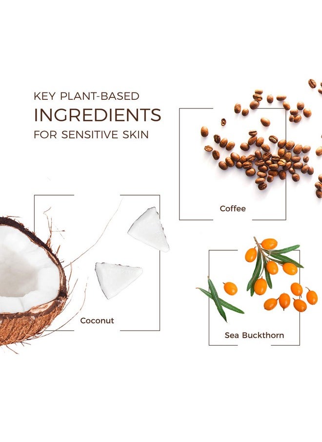 Babo Botanicals Daily Sheer Mineral Tinted Sunscreen Stick SPF50 - Natural Zinc Oxide - For Face - For all ages - EWG Verified - Water Resistant - Fragrance-Free