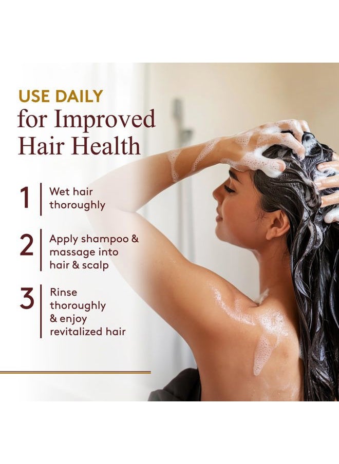 Black Jamaican Castor Oil Shampoo - Natural, Moisturizing Jamaican Castor Shampoo, Strengthen & Restore Damaged Hair for Women and Men - Coconut Curls, 12 fl oz (Pack of 1)